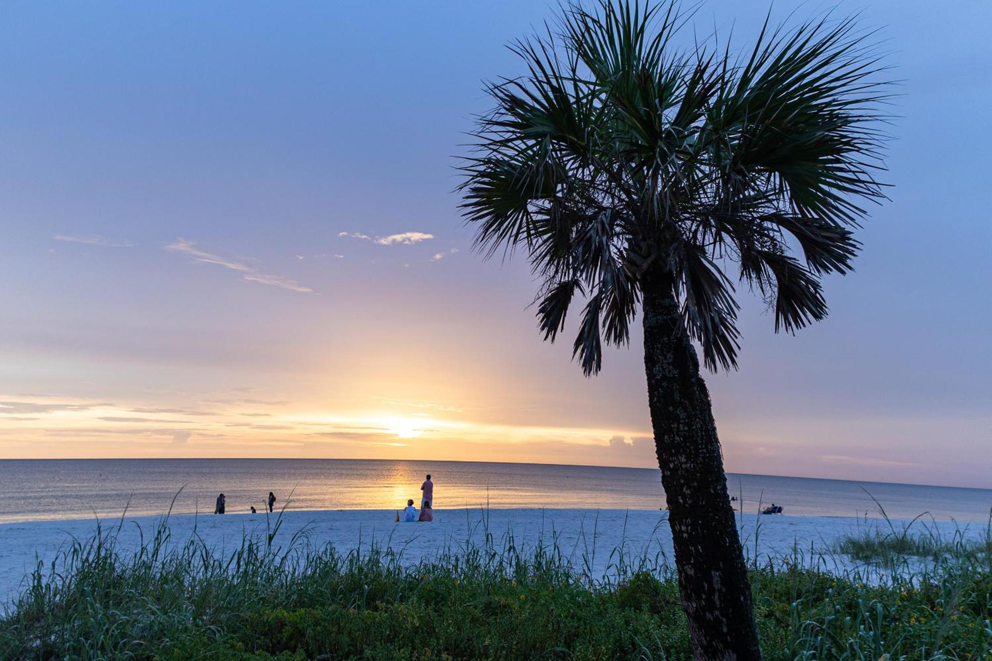 Comfy 3 Bedroom With Parking & Close To Everything North North Naples Εξωτερικό φωτογραφία